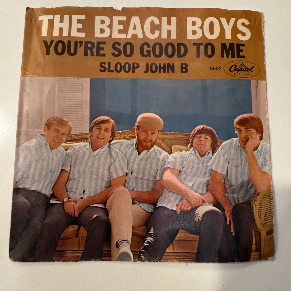 The Beach Boys Vintage Art Poster- Original 7”x7.5” easy to frame